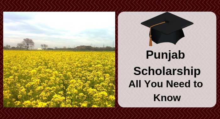 Punjab Scholarship - All You Need to Know