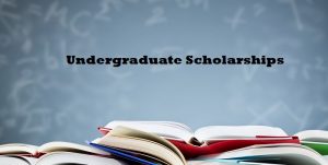 Undergraduate Scholarships