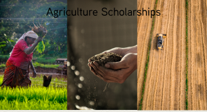 Buddy4Study Agriculture and Farm Scholarships